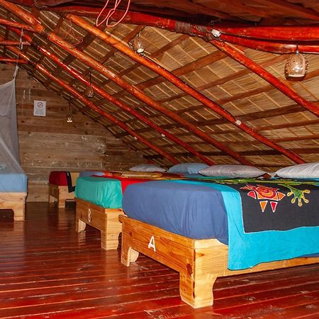 Hostel La Ballena Backpacker Las Galeras Dış mekan fotoğraf