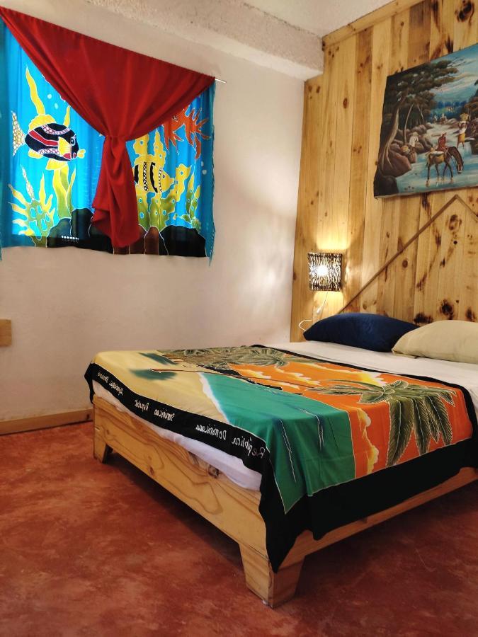 Hostel La Ballena Backpacker Las Galeras Dış mekan fotoğraf