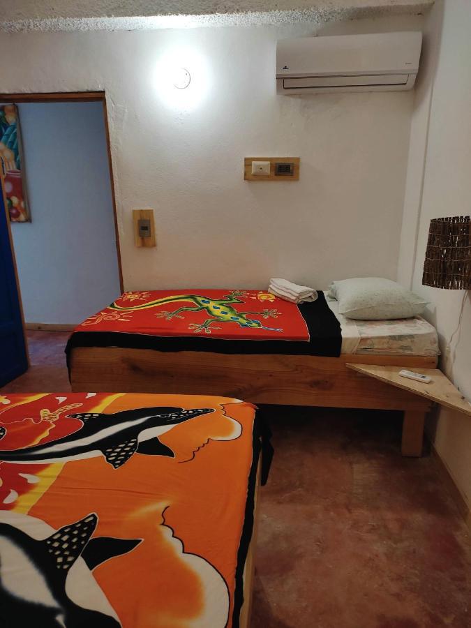 Hostel La Ballena Backpacker Las Galeras Dış mekan fotoğraf