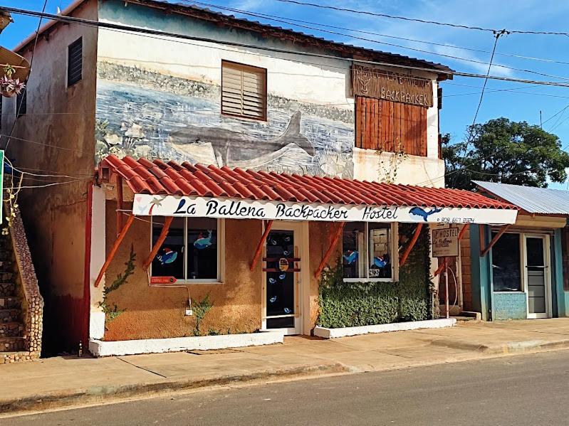 Hostel La Ballena Backpacker Las Galeras Dış mekan fotoğraf