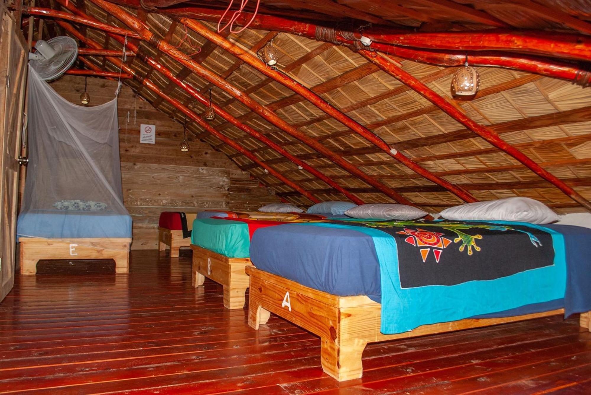 Hostel La Ballena Backpacker Las Galeras Dış mekan fotoğraf
