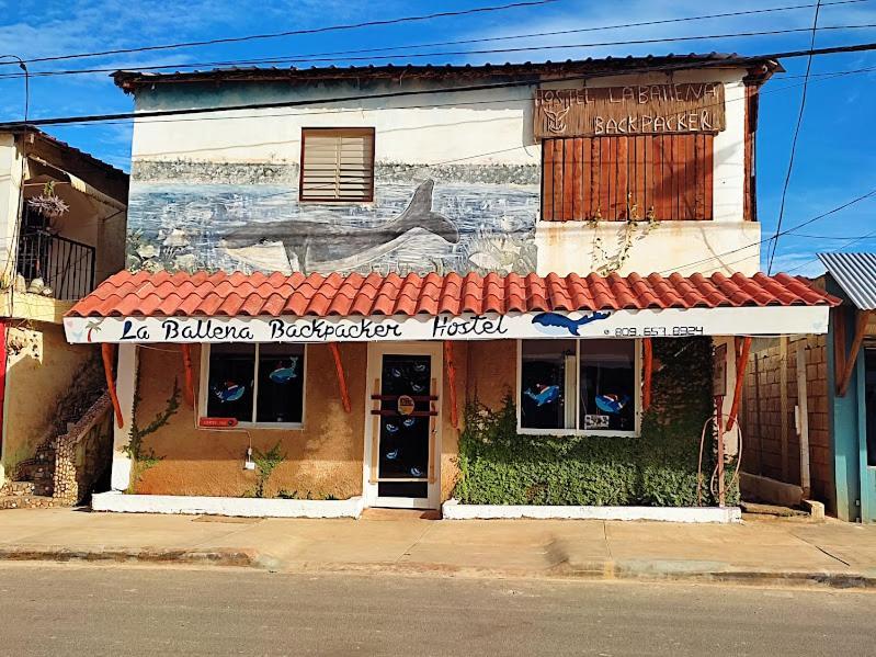 Hostel La Ballena Backpacker Las Galeras Dış mekan fotoğraf