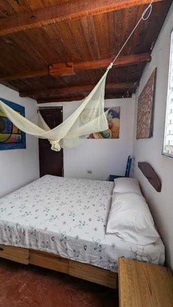 Hostel La Ballena Backpacker Las Galeras Dış mekan fotoğraf